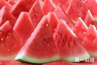 武汉今日麒麟瓜价格行情,价格行情一览”