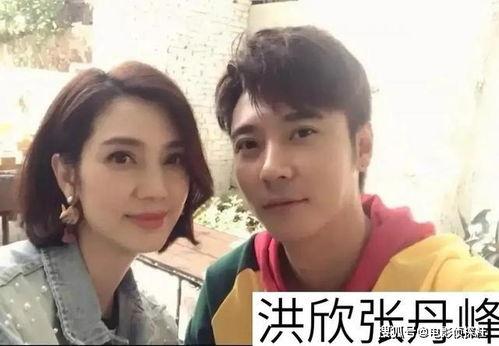 女强男弱明星网红,揭秘明星网红的性别力量反转现象