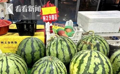 麒麟瓜西瓜行情今日报价,价格波动与市场趋势分析