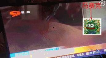 四川今日吃瓜新闻直播在哪看