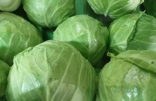 东庄头今日茭瓜价格,新鲜上市，品质保证！”