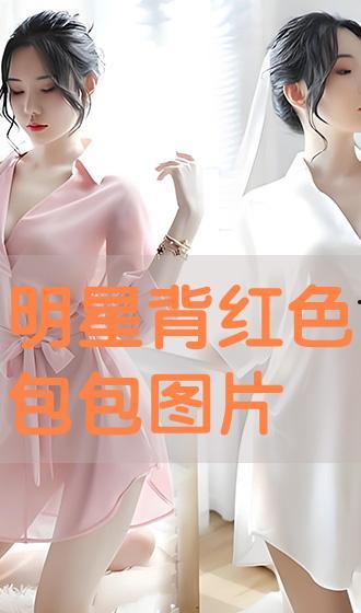 明星网红背的包包图片,揭秘明星网红热捧的时尚包包新趋势