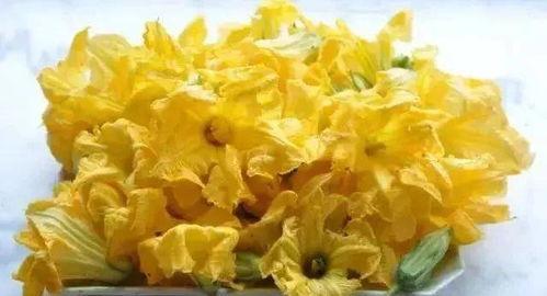 今日面瓜出售,市场反响热烈