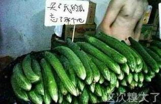 今日份茄瓜文案怎么写,营养美味，健康生活新选择