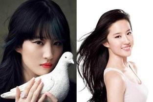 如何认识明星网红的女生,魅力与影响力的双重解读