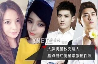 明星网红路人图高清图片,高清对比揭示明星网红真实魅力
