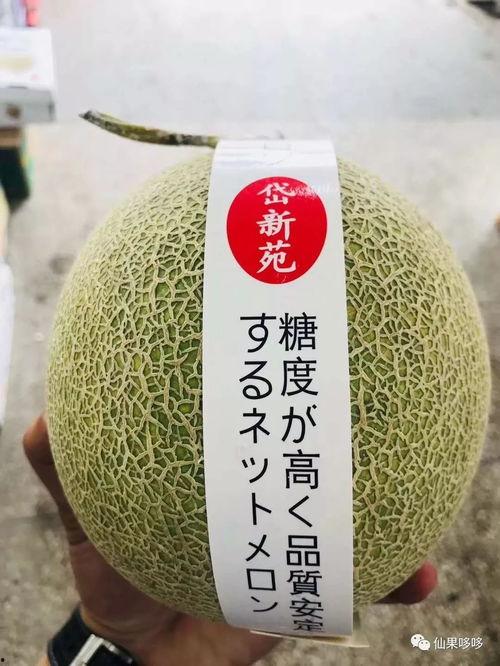 今日网纹瓜批发价格表,市场行情一览